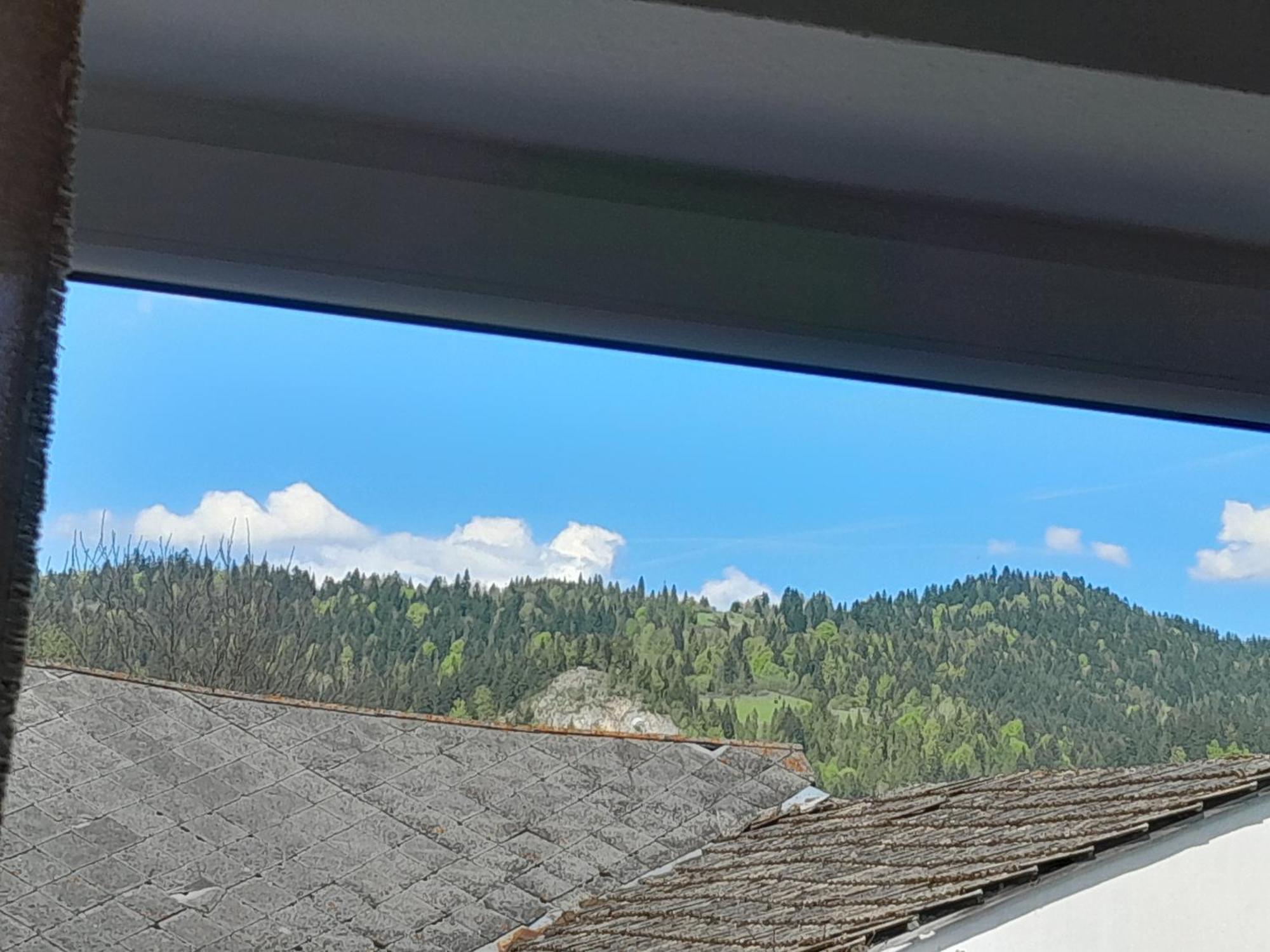 Apartamenty W Pieninach - 2 Sypialnie Sromowce Wyzne Buitenkant foto